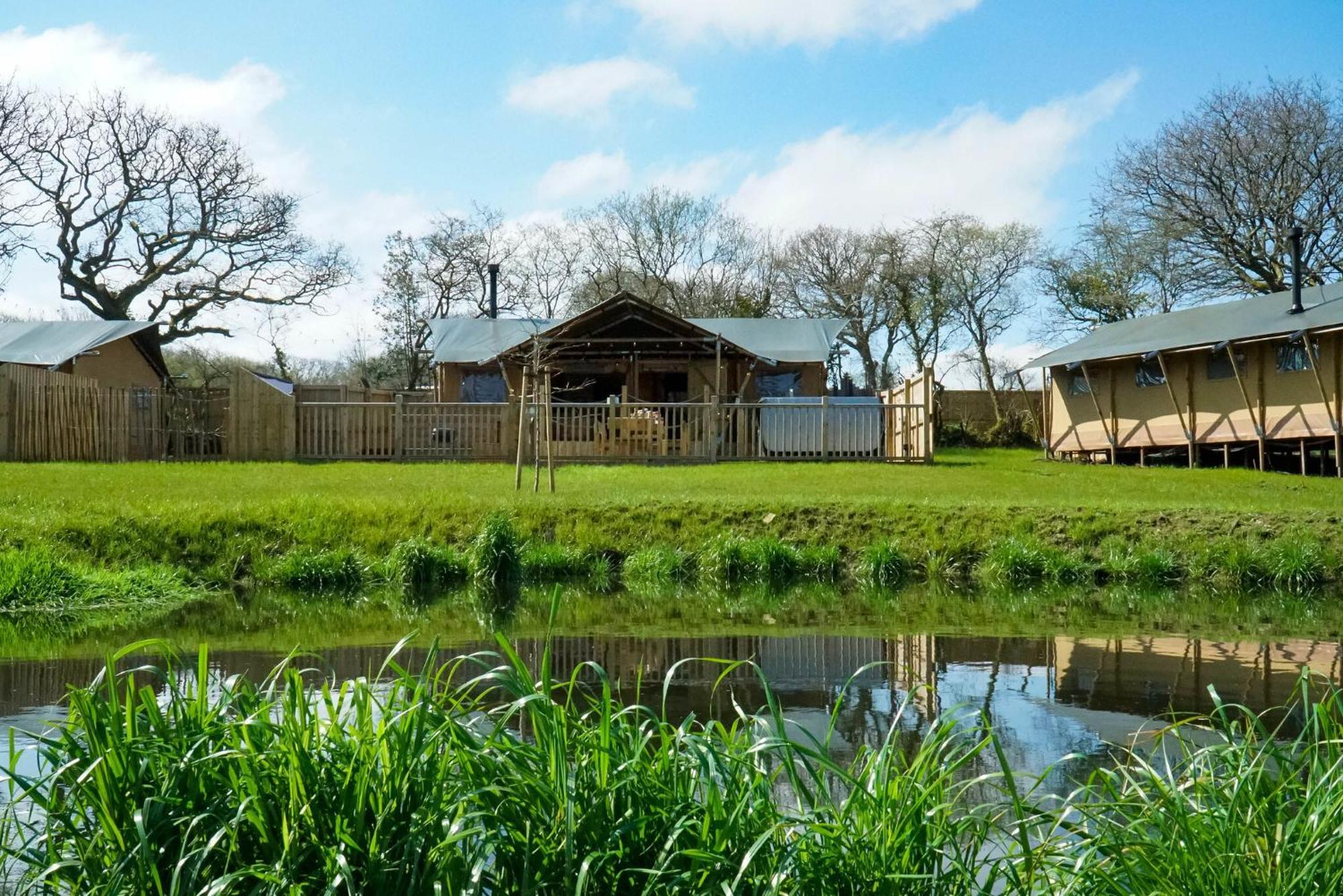 Jungle Book Safari Tent Tenby Bagian luar foto