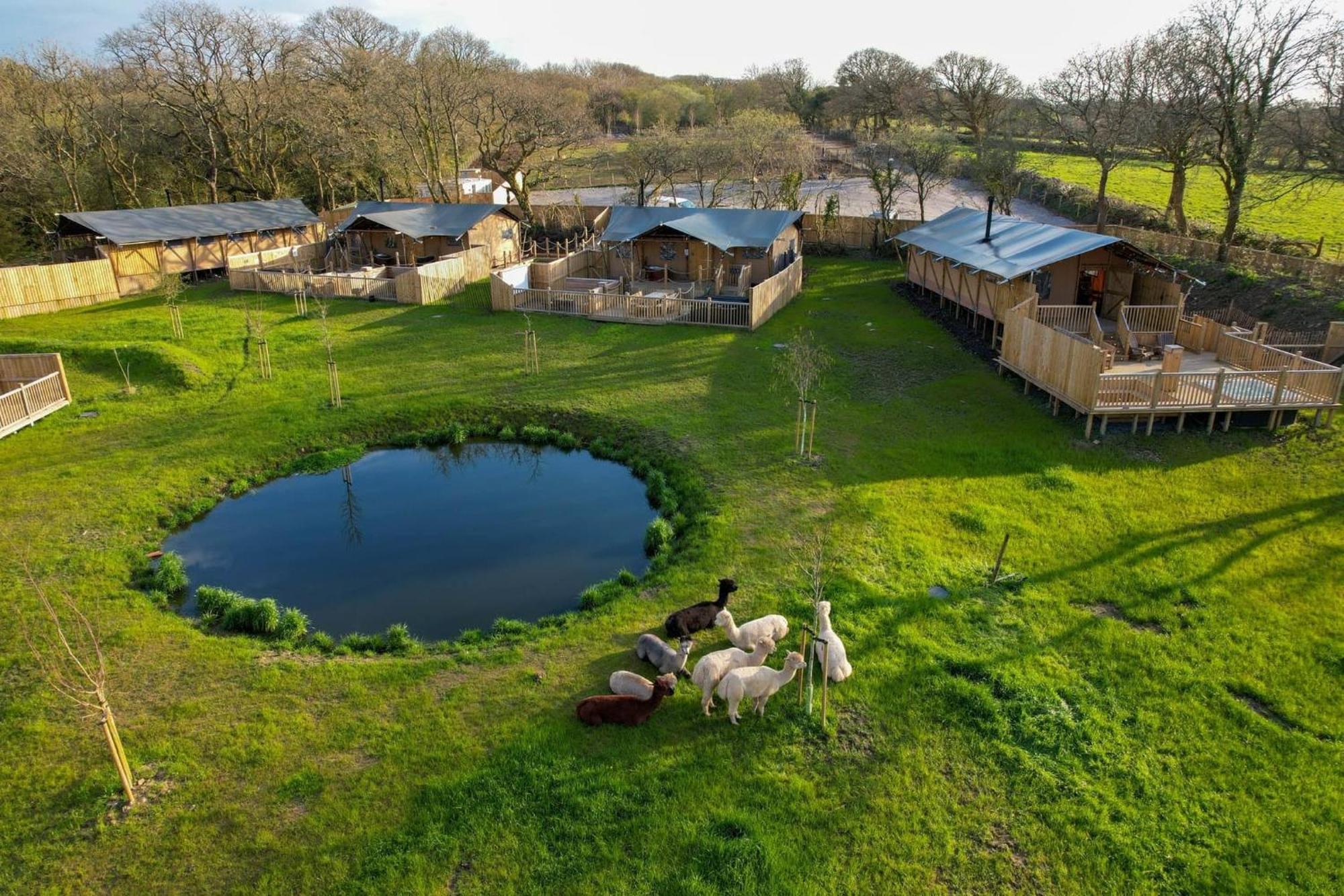 Jungle Book Safari Tent Tenby Bagian luar foto